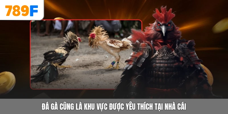 Đá gà cũng là khu vực được yêu thích tại nhà cái