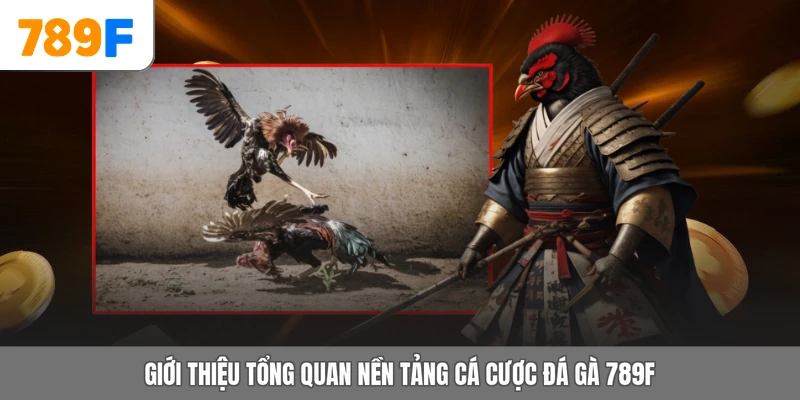 Giới thiệu tổng quan nền tảng cá cược đá gà 789F